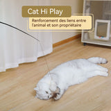 Teaser de chat jouet télescopique pour chat à tige télescopique à 4 sections Tête de rechange à double plume pour animaux noir