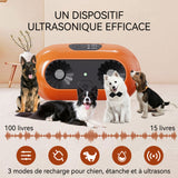 Anti-aboiement 11,6 x 3,75 x 6 cm 15-30 kHz 3 types d'ondes sonores Portée de 10 à 15 mètres Convient à toutes les races de chiens