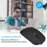 Souris sans fil 2,4 GHZ 600mah Souris d'ordinateur optique sans fil USB portable avec récepteur USB Prise en main confortable