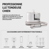Tondeuse chien 1.3L 12kpa aspirateur poil de chien réglage à 3 vitesses filtration à 4 niveaux tondeuse pour chien avec aspirateur