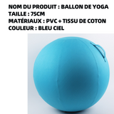 Ballon de yoga chaise de ballon de yoga avec housse ballon de yoga diamètre 75cm ballon de fitness soulage les maux de dos bleu ciel