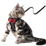 Petit chien harnais marche chien chat corde ensemble chat personnalité poitrine dos Traction corde mignon chat chien harnais