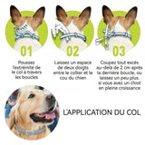 ollier chien 39-63cm collier anti-insectes collier anti-puces pour chat et chien offre une protection longue durée de 7-8 mois