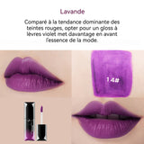 Rouge à lèvres 2x2x7,5cm tube dégradé hydratant fini mat couleurs fantaisie convient au maquillage quotidien professional makeup