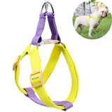 Laisse pour chien Sangle de poitrine Corde de marche pour chien Couleur assortie Corde de marche pour chien tissée en coton