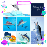 arte de voeux 17,3x18,3cm anime animal carte de voeux tridimensionnelle poisson voilier papier sculpture bénédiction carte postale