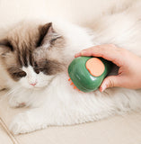 Peigne de massage en spray pour animaux de compagnie avocat pour chat et chien pulvérisation électrique à une touche