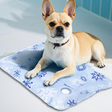 Tapis d'eau pour chat 60 x 90 cm pvc épais grande arrivée d'eau recyclable résistant à l'usure et aux rayures fraîche et durable