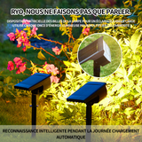 Lampe solaire exterieur 46 LED spot solaire extérieur etanche IP65 projecteur réglable lumière pour jardin cour extérieur chemin