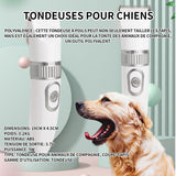 Tondeuse chien 5 vitesses à faible bruit sans fil outils toilettage 3.7V 5W pour animaux de compagnie pour chiens et autres animaux