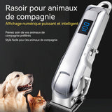 Rasoir pour animaux professionnel haute puissance sans fil affichage numérique tondeuse pour animaux multifonction tondeuse chat