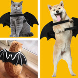 Costume amusant d'halloween, fournitures pour animaux de compagnie, transformation d'ailes de chauve-souris lumineuses pour chien