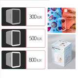Mini frigo 4L quantitatif glacière électrique réfrigérateur voiture boîte de refroidissement motorisée rester au chaud et au froid