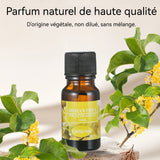 Huiles essentielles 10ml 6PCS rose/osmanthus/thé/fleur cerisier/lavande/citron désodorisation pure l'air adapté aux familles