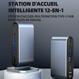Station d'accueil 12 en 1 carte réseau haut débit charge rapide PD ports USB-C VGA et HD 4K/30hz gigabit ethernet et 4 ports USB 3.0
