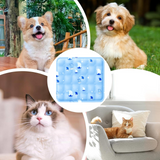 oussin d'assise 2PCS 45x45cm coussin d'eau pour voiture coussin rafraîchissant pour animaux sans injection de gel d'eau bleu
