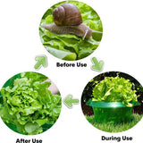 10pcs Couvertures de protection des plantes contre les insectes nuisibles Couvertures de dômes pour les plantes en forme decloche