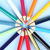 rayons de couleurs 12 couleurs 20,5 x 8,5 x 1cm crayons à l'huile stylo à peinture pour enfants dureté hb couleurs assorties