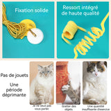 jouets suspendus pour chats 5PCS à suspendre à la porte pour animaux de compagnie en corde élastique résistante aux morsures