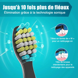 Brosse à dents fréquence de vibration 40000 fois/min 5ème vitesse avec 8 têtes de muet imperméable brosse brosse à dents électrique