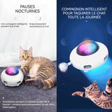 Jouet interactif pour chat 9x15cm 3 vitesses Épilateur électrique pour chat plateau tournant automatique jouets pour chats blanc