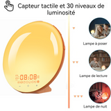 Eveil lumière led réveil simulateur d'aube crépuscule 2 réveils 9 sons naturels fonction snooze veilleuse réveil lumière bluetooth