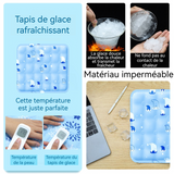 oussin d'assise 2PCS 45x45cm coussin d'eau pour voiture coussin rafraîchissant pour animaux sans injection de gel d'eau bleu