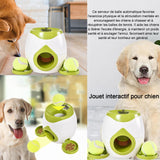 Lanceur automatique 29x18 cm lanceur de lanceur balles pour animaux de compagnie jouet d'entraînement apportez deux balles de tennis