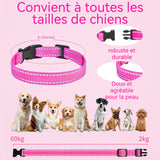 ollier anti aboiement chat 2 modes réglables rechargeable taille ajustable collier pour chat petit portable anti aboiement chat