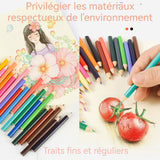 rayons de couleur 208 couleurs 32,6 x 27,7 x 6 cm coffret cadeau de pinceaux pour enfants contient des crayons coloriage kit