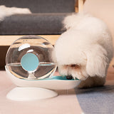 Distributeur d'eau automatique pour escargot de compagnie Distributeur d'eau pour chat Distributeur d'eau pour chien Mangeoire