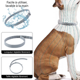ollier chien 39-63cm collier anti-insectes collier anti-puces pour chat et chien offre une protection longue durée de 7-8 mois