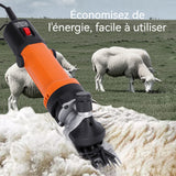 Tondeuse à Mouton 6 vitesses réglables tondeuse électrique professionnelle 690W pour moutons alpagas chèvres et plus encore, Orange