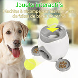 Lanceur automatique de balle pour chiens mini inclus 2 balles multifonctionnel lanceur de balle automatique pas besoin charger