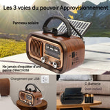 Enceinte bluetooth solaire rétro USB/tf/bluetooth stéréo portable haut-parleur bluetooth bass puissantes avec poignée transport