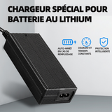Chargeur trotinette electrique chargeur tête de lotus 42V 3A adaptateur secteur alimentation chargeur secteur alimentation chargeur
