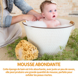 Éponge de bain 10cm éponge de mer naturelle bio grande  éponge de douche nid d'abeille haute qualité durable exfoliante de bain