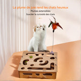 Jouets pour chats pour chat en forme de boîte labyrinthe pour creuser des trous boule de piste teaser de chat jouets éducatifs