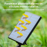 1 pièce Projecteur solaire 7LED projecteur  paysage étanche pour cour extérieure projecteur de paysage au sol de parc Lampadaire