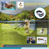 Système à distance de clôture pour chien sans fil 2 en1 LED clôture électronique pour chien portée de la télécommande de 300 m