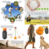 jouet interactif citrouille pour chien Avec poignée extérieur jouets de récupération pour chiens Jouet Mâcher pour chien durable