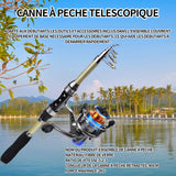 anne à péche 1.8m canne à peche telescopique ensemble canne à peche et moulinet  ensemble de cannes à leurres sport peche beige
