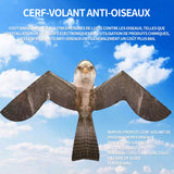 Cerf-volant anti-oiseaux 5m cerf-volant anti-oiseaux de jardinage cerf volant aigle effaroucheur cerf volant aigle effaroucheur