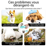 Bouteille d'eau 550 ml avec récipient alimentaire pour une utilisation en extérieur Gobelet d'eau portable pour chat et chien