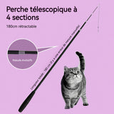 Teaser de chat jouet télescopique pour chat à tige télescopique à 4 sections Tête de rechange à double plume pour animaux noir