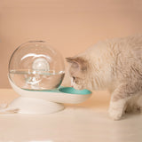 Distributeur d'eau automatique pour escargot de compagnie Distributeur d'eau pour chat Distributeur d'eau pour chien Mangeoire