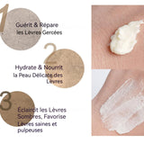 Gommage à lèvres 20g pour exfoliation des lèvres/blanchiment des lèvres gommage pour les lèvres baume à lèvres gommage lèvres lip