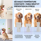 Aspirateur poil de chien 14kPa chat avec divers outils de toilettage 3L silencieuse ultra récipient pour tous les chiens et chats