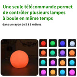 1pcs Luminous Globe Light Remote Controlled Floating Light 30cm Garden Pool Decorative Lamp Household Waterproof Garden Lights