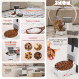 Distributeur croquettes chat 2-en-1 3,5L + 2,5L avec bol en acier inoxydable Distributeur D'aliment Deux modes de montage gris